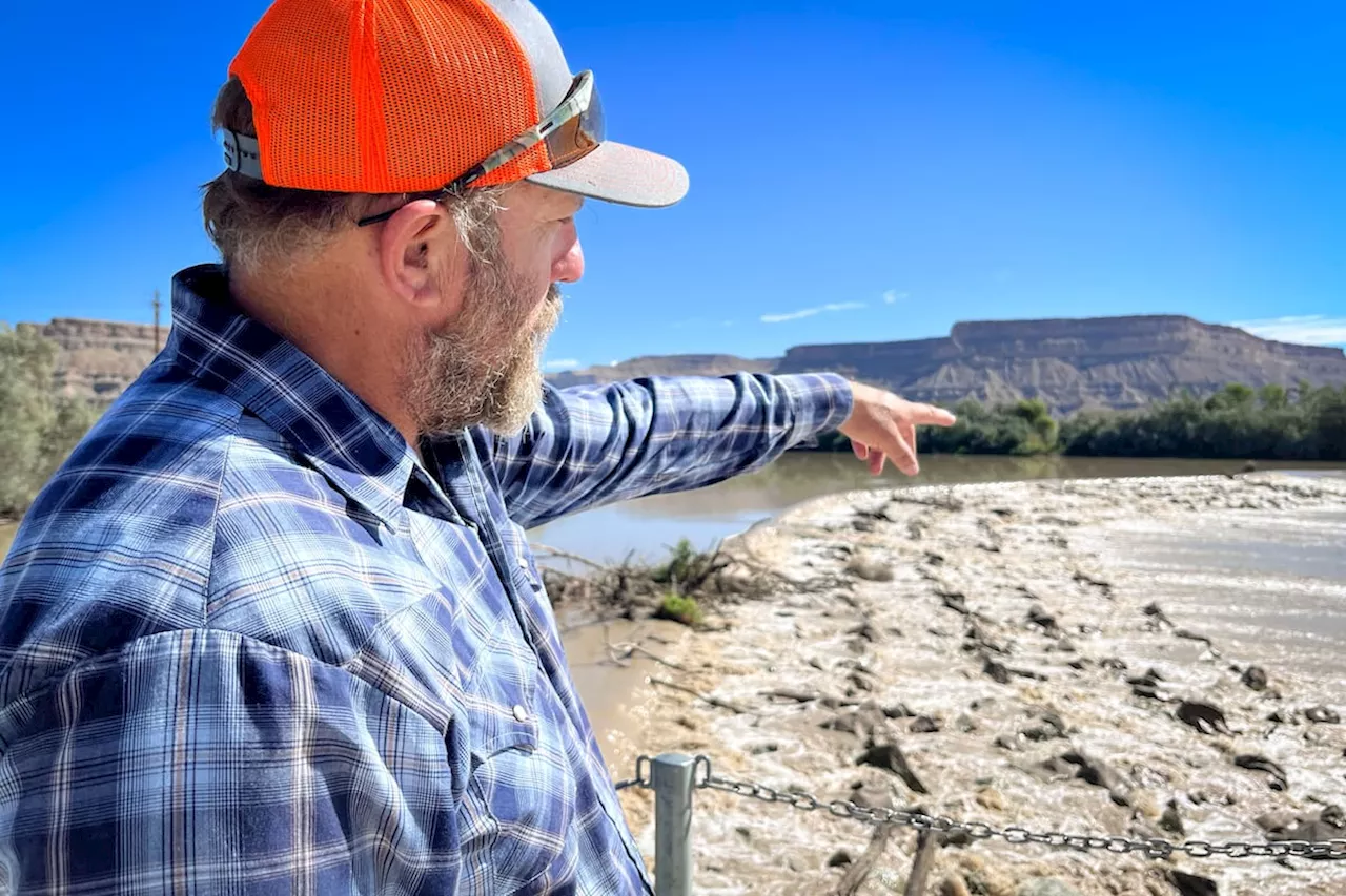 Utah Pays Farmers to Fallow Fields, Conserve Water for Colorado River