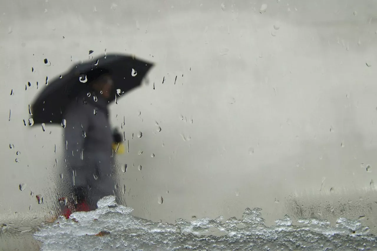 Heavy Rain Expected in Toronto and GTA, Flood Warnings Issued