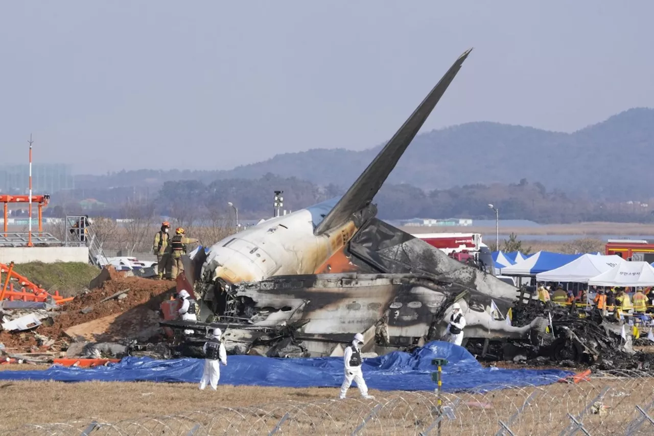 Jetliner Crashes in South Korea, Killing 179