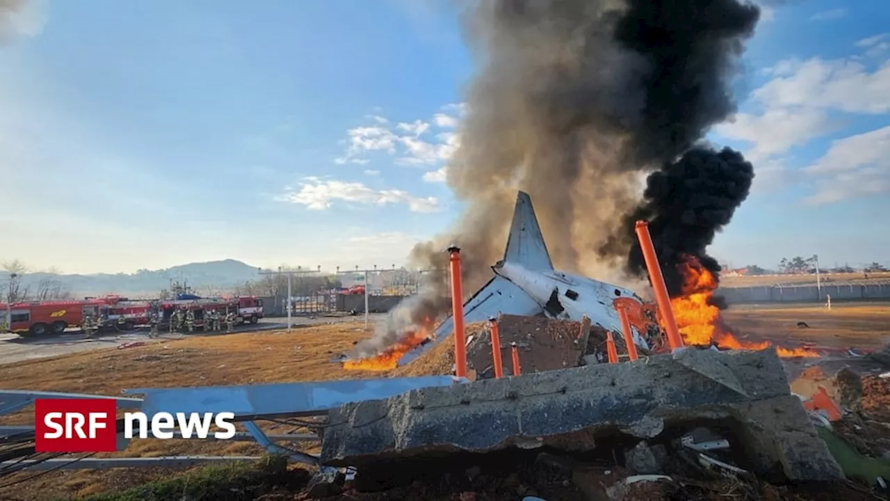 Flugzeugunglück in Südkorea: Zwei Überlebende