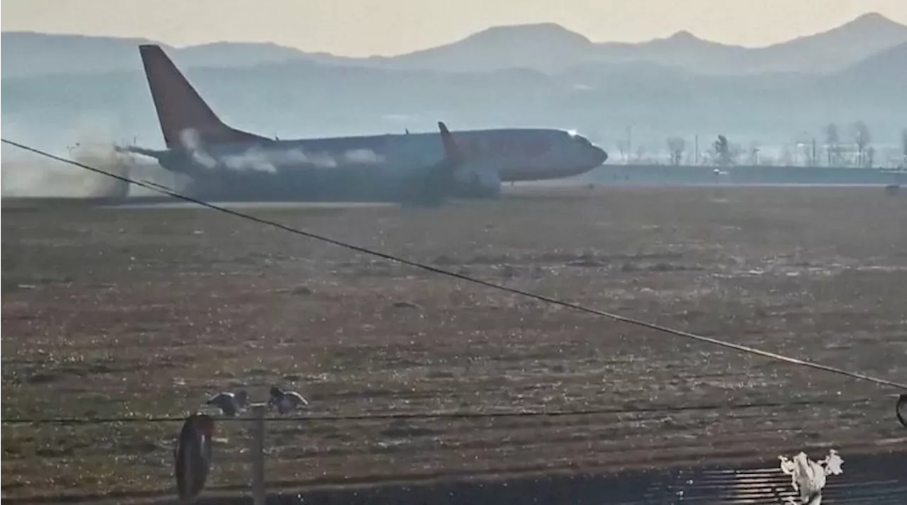 Jeju Air Flight 7C2216 Crashes at Muan International Airport