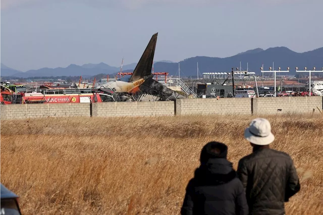 Jeju Air plane crash survivor has no memory of incident; witnesses recall moments before tragedy