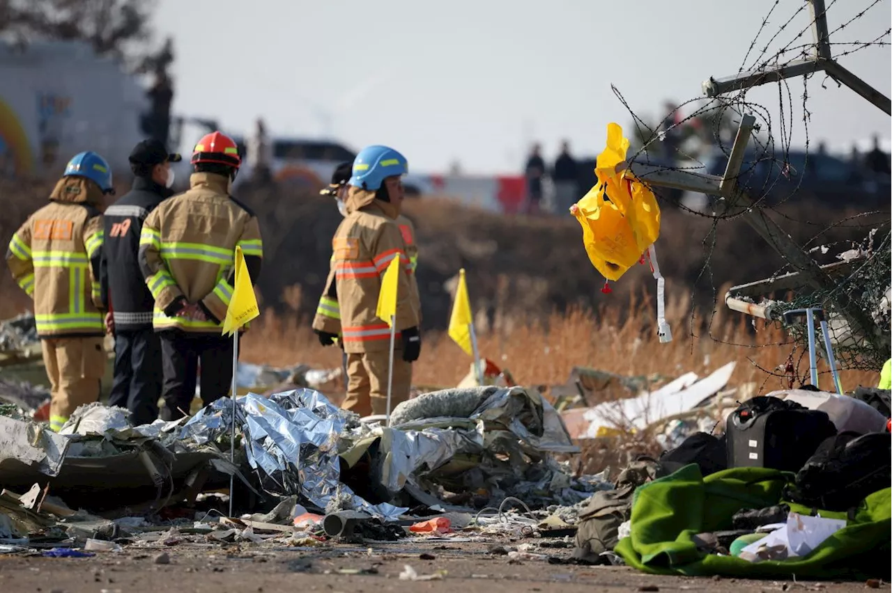 South Korean Passenger Jet Crashes, Leaving Most Dead