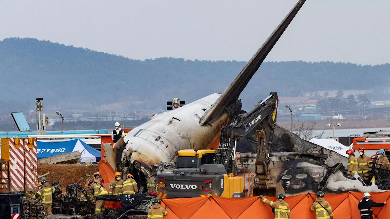 Flugzeugunglück in Südkorea: Nur zwei Überlebende