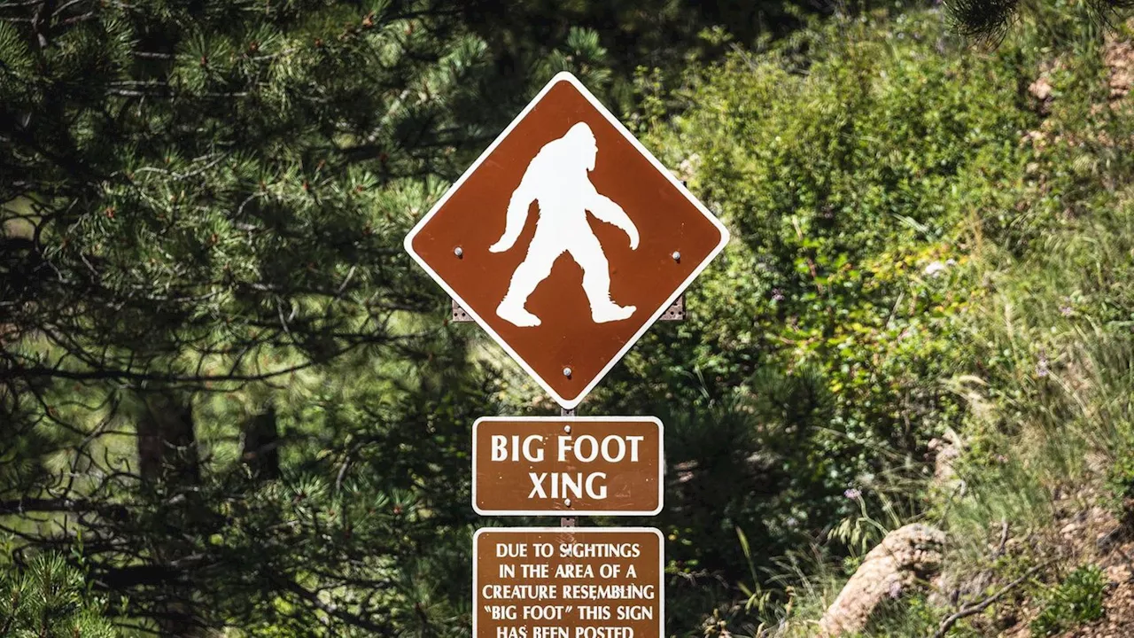 Suche nach Bigfoot endet tragisch: Zwei Männer erfrieren