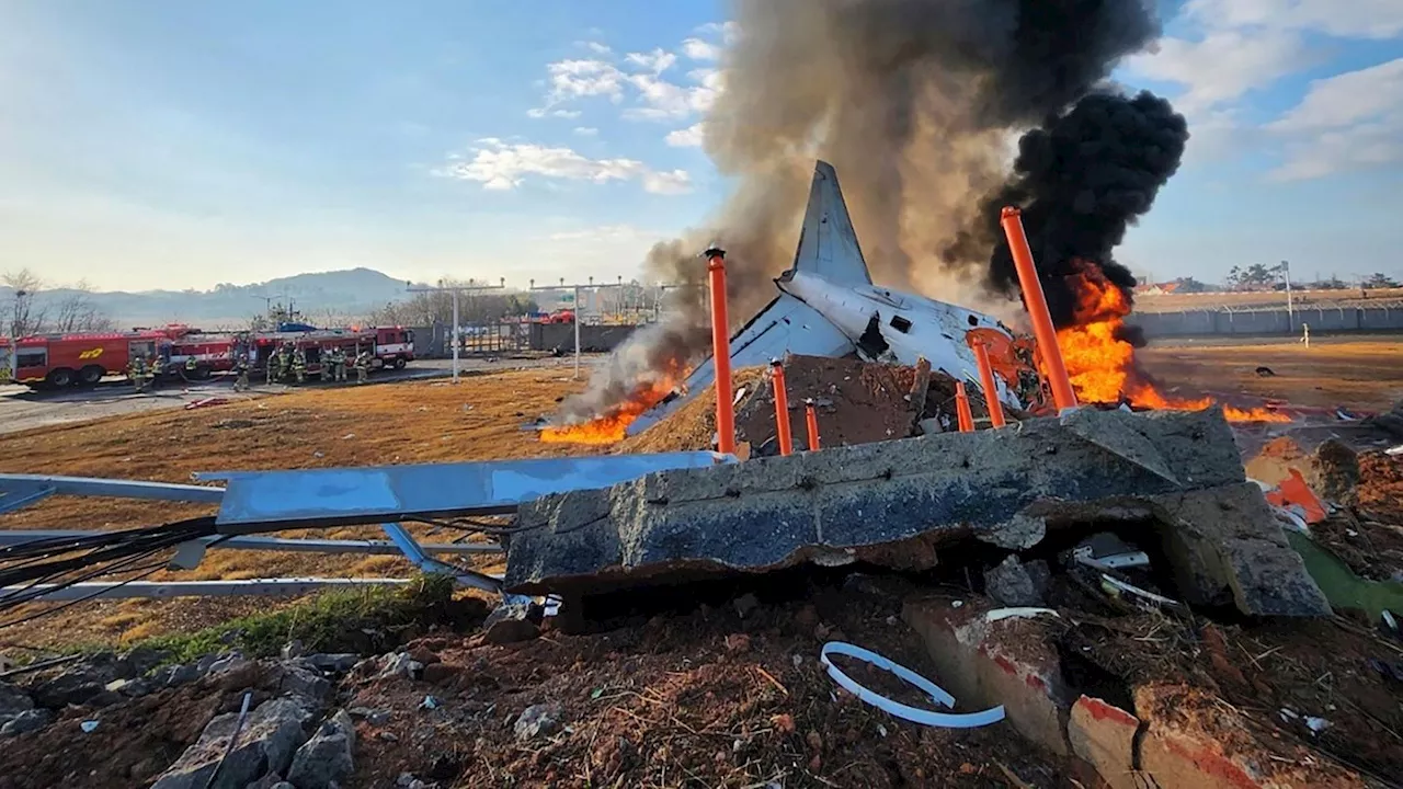 Südkorea: Mindestens 120 Tote bei Flugzeugabsturz auf Landebahn