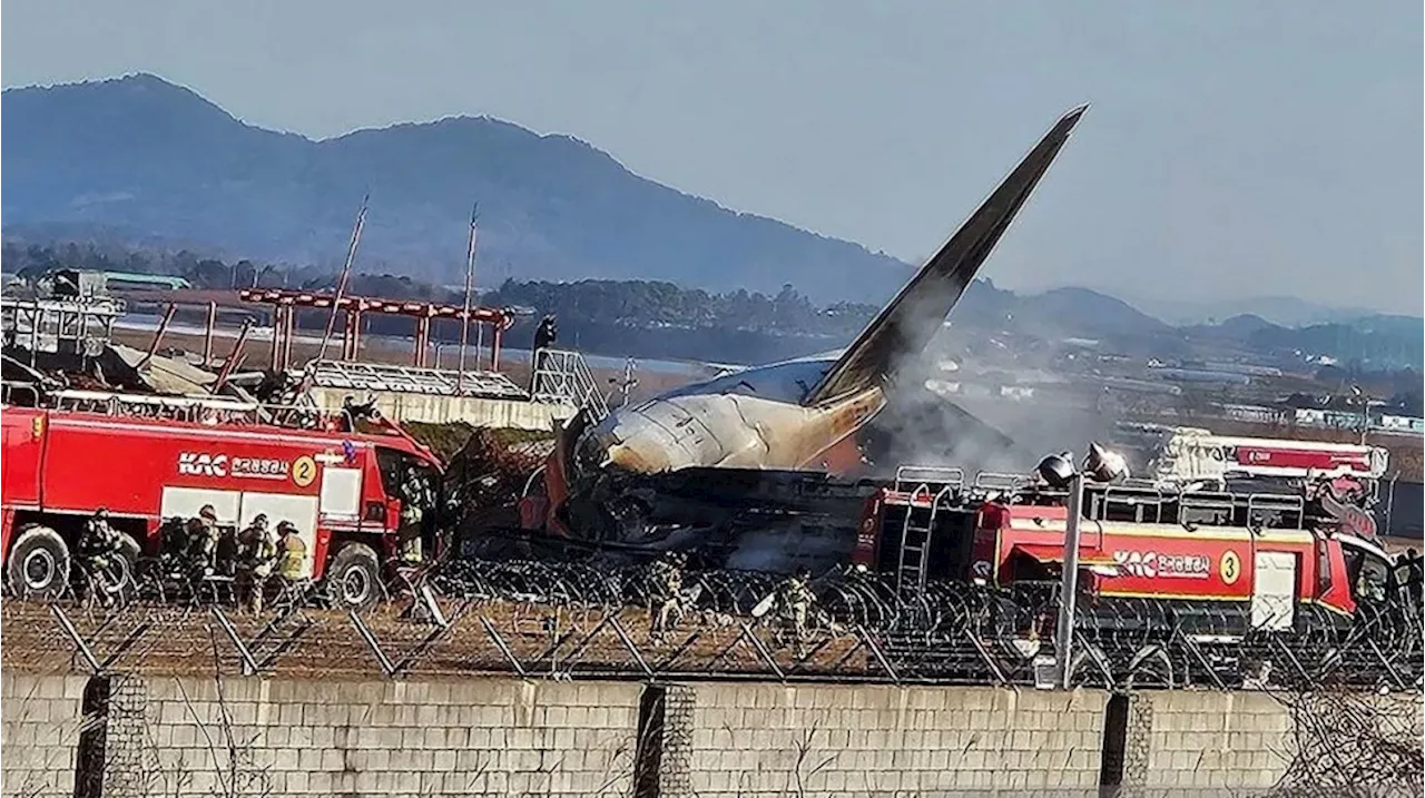 Pesawat Jeju Air Kecelakaan di Bandara Muan, Puluhan Orang Masih dalam Pencarian