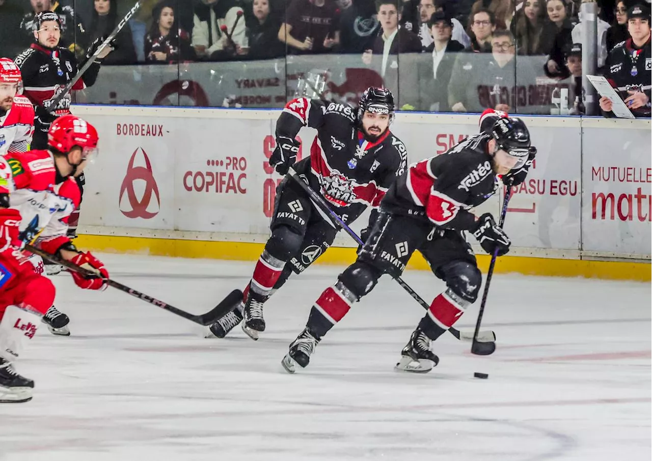 Bordeaux s'attaque aux Dragons de Rouen après un choc face à Grenoble