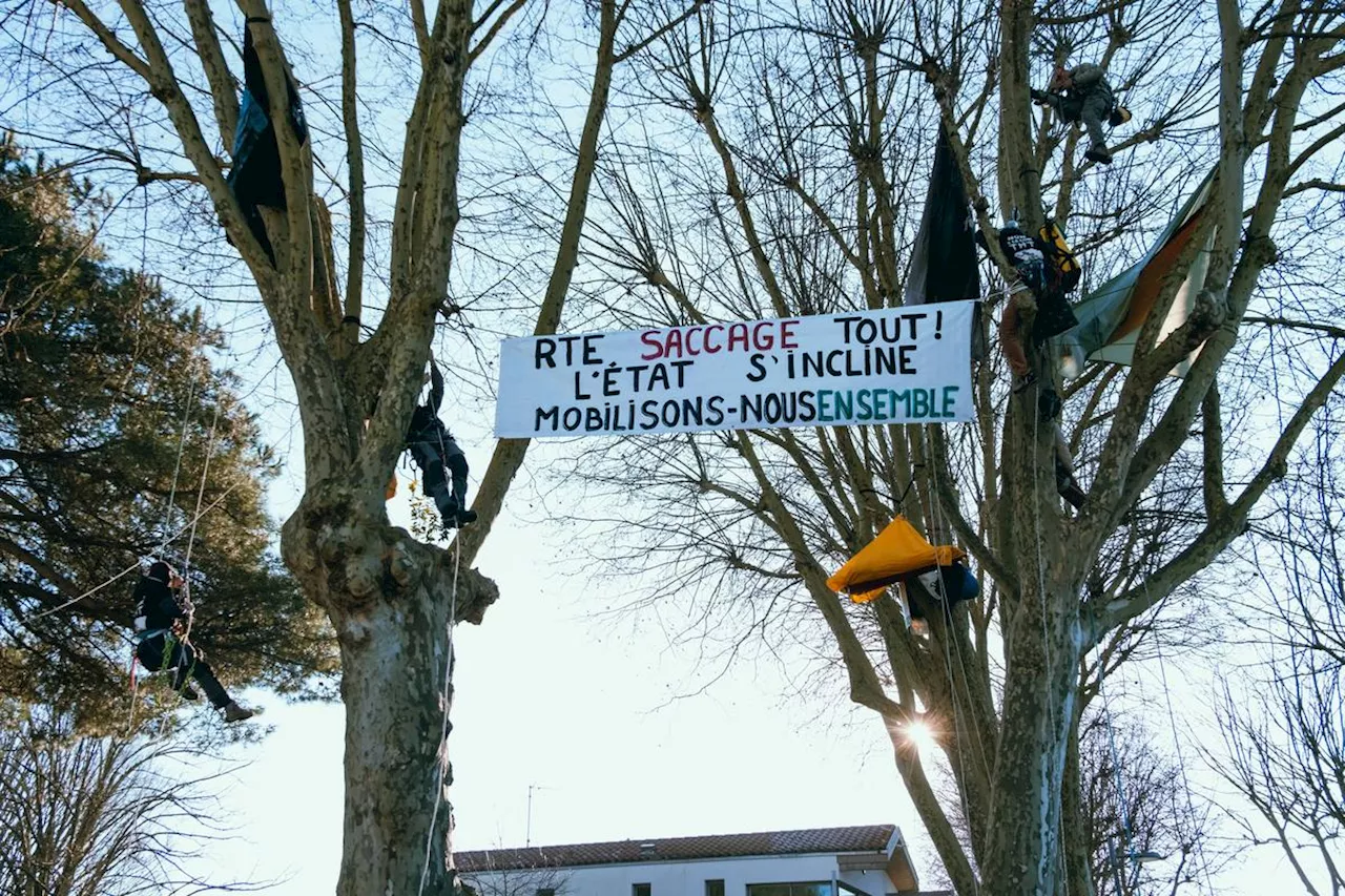 Capbreton : une mobilisation visuelle dans les arbres contre le tracé de la ligne très haute tension