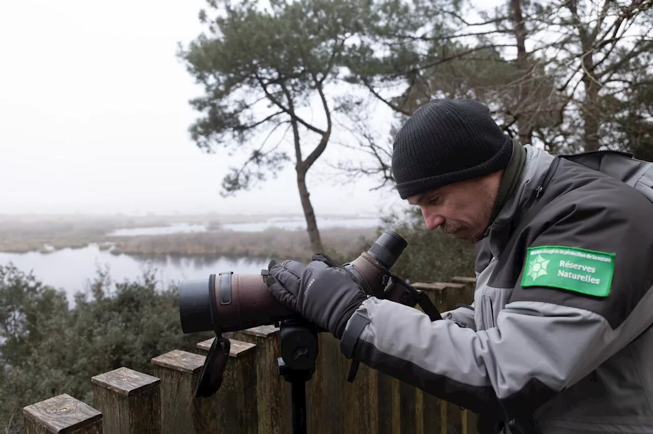 Lacanau : un accueil posté tout l’hiver dans la réserve du Cousseau