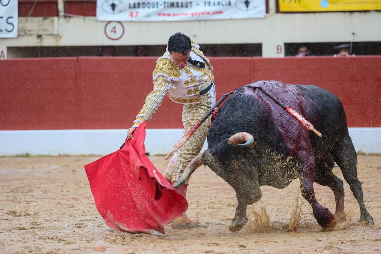 Pagès-Mailhan Pour La Corrida De Mimizan En 2025