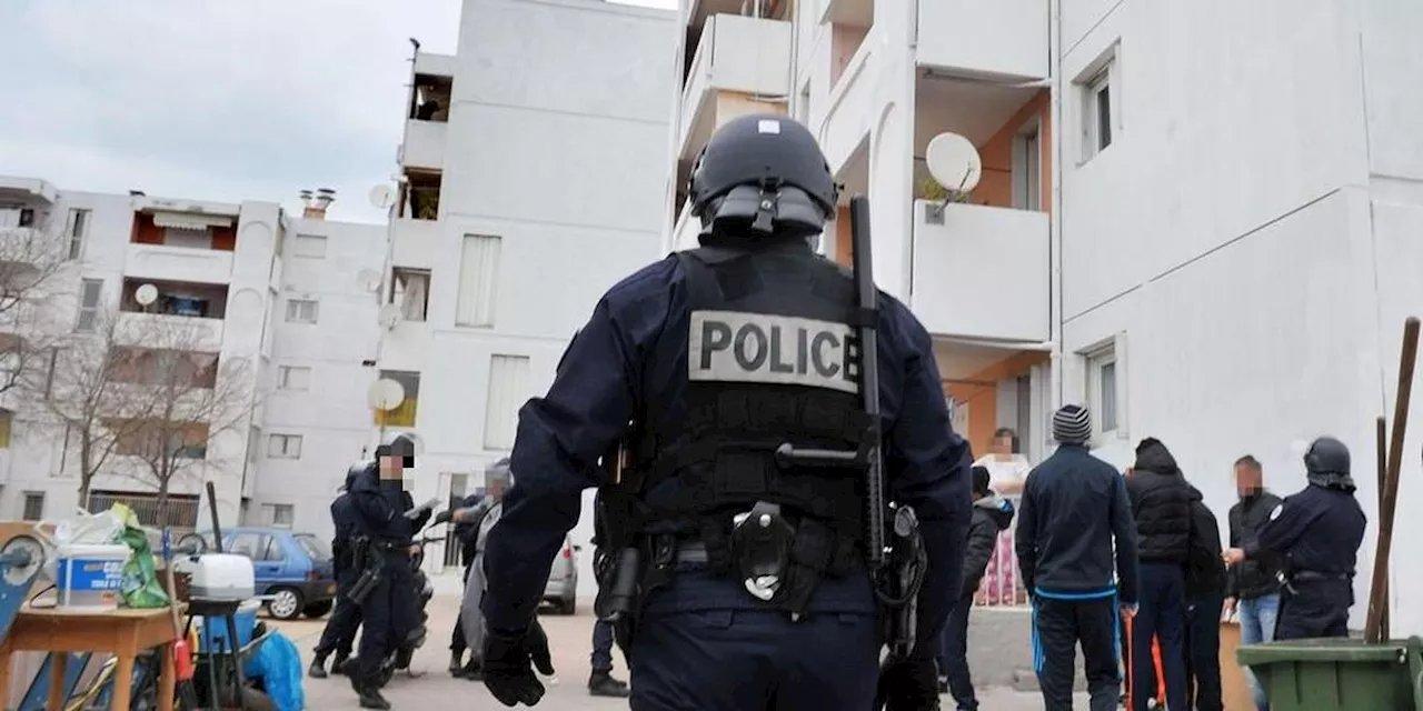 Strasbourg : 14 interpellations après des violences à l’approche de la Saint-Sylvestre