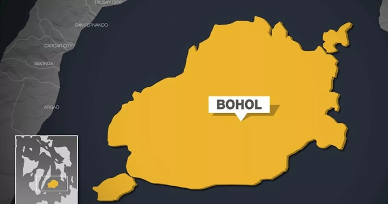 Bohol islands receive climate response boost with solar energy