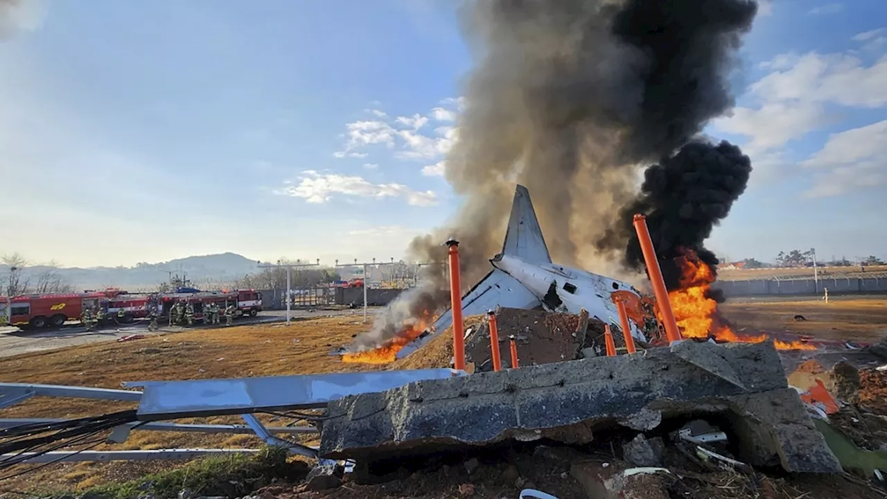 Flygolycka i Sydkorea: Boeing 737 kraschar, 174 bekräftade dödsfall