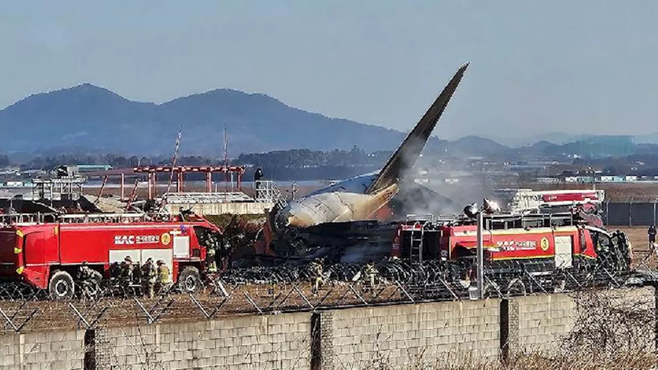 Pesawat Jeju Air Jatuh di Korea Selatan, 120 Orang Tewas