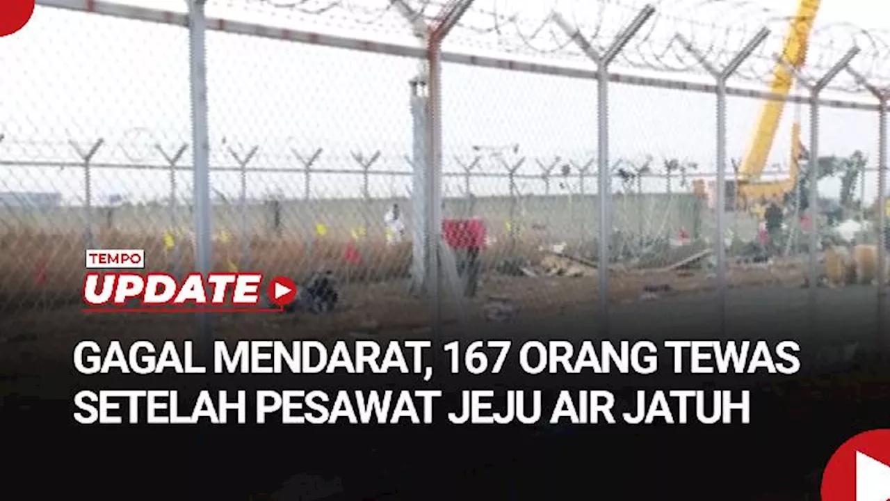 Pesawat Jeju Air Jatuh di Korea Selatan, 167 Tewas