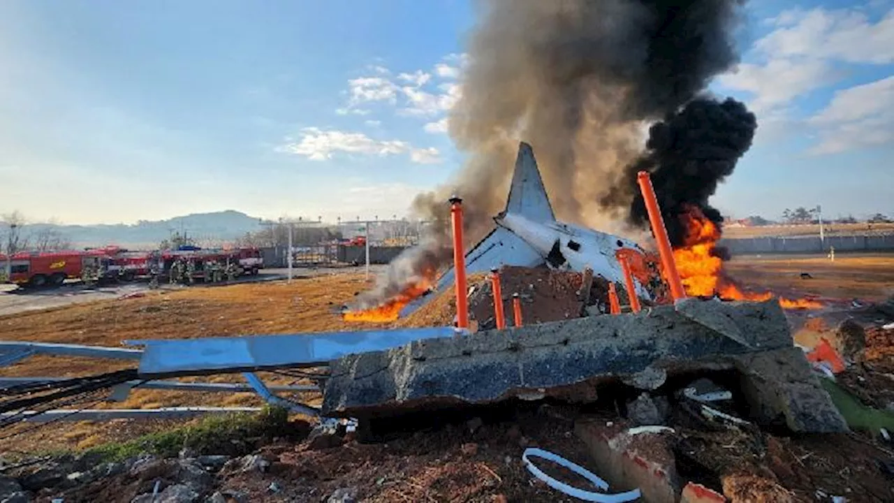 Pesawat Jeju Air Terbang Menabrak Tembok di Bandara Muan