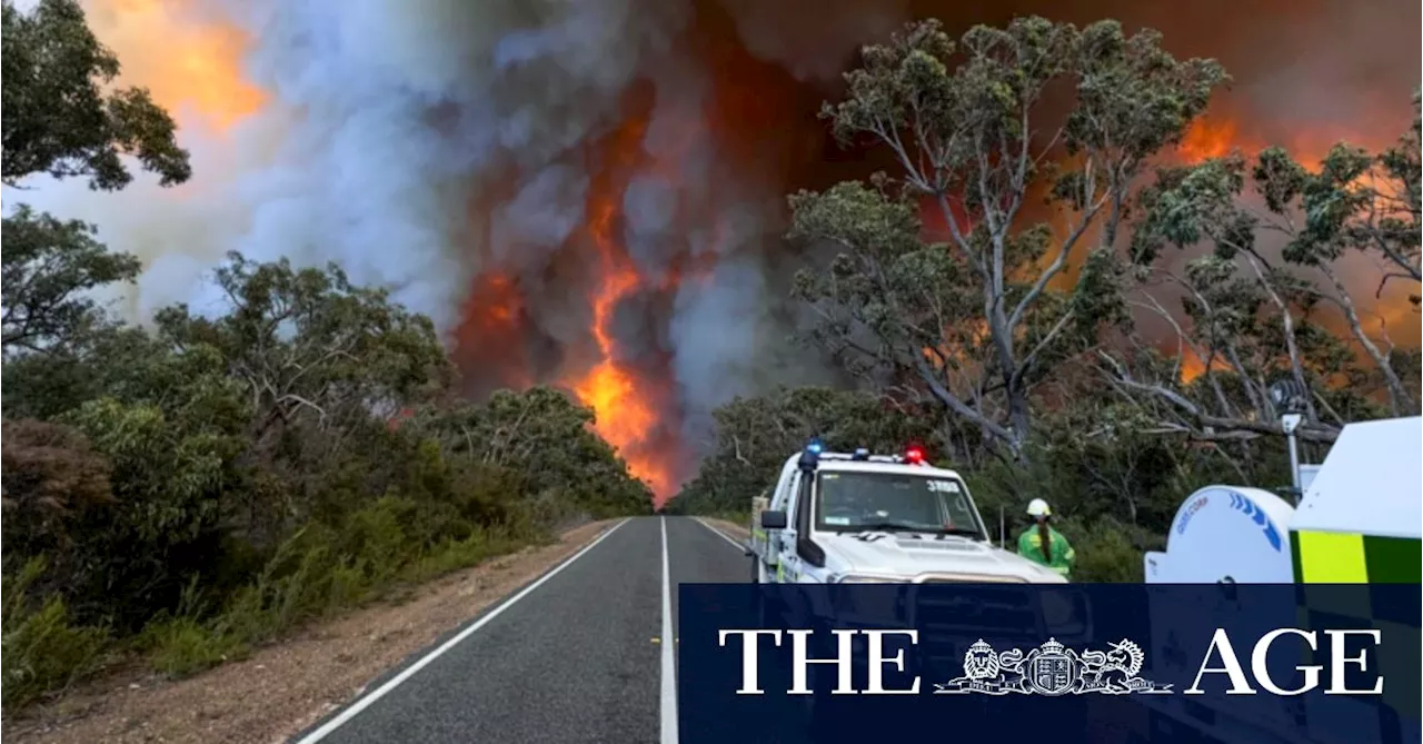 Bushfires Devastating for Grampians Businesses