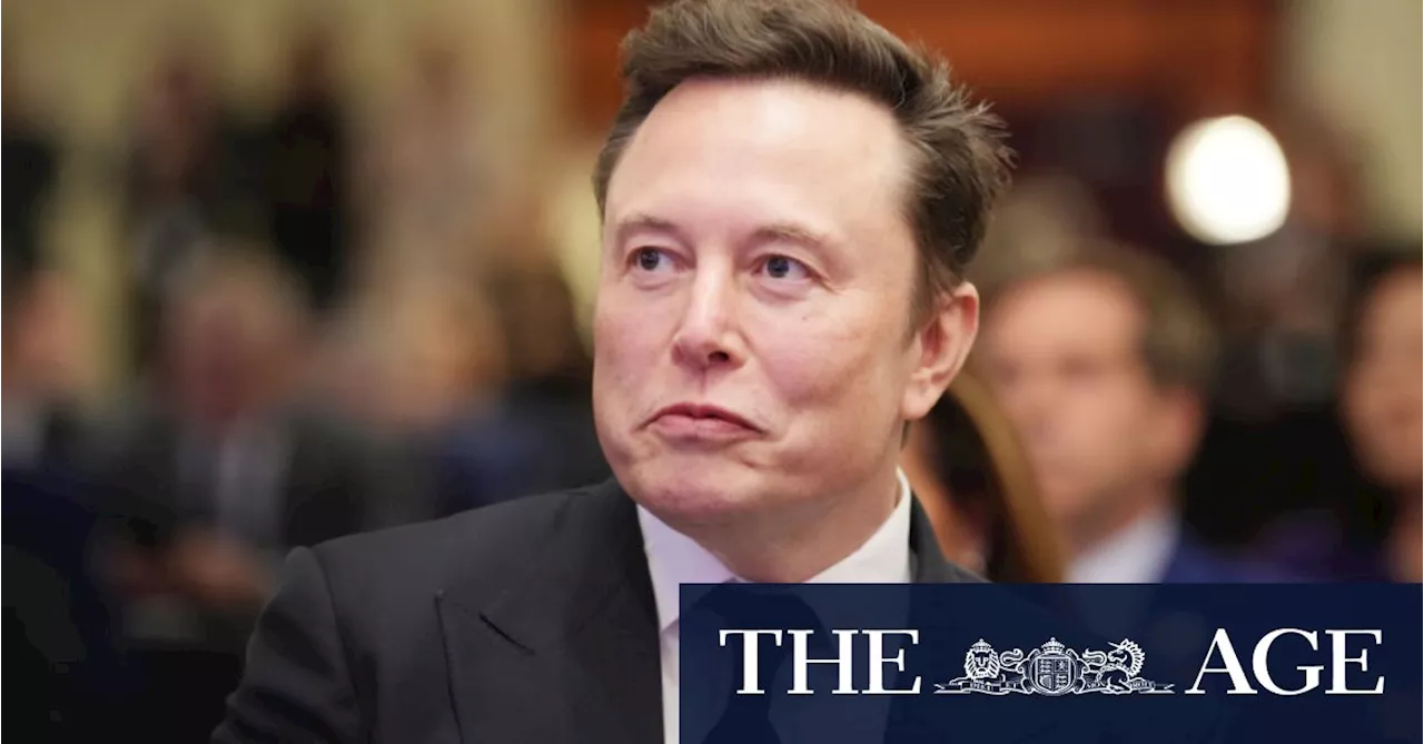 ‘Intrusive and presumptuous’: Fury in Germany after Musk backs far-right party ahead of elections