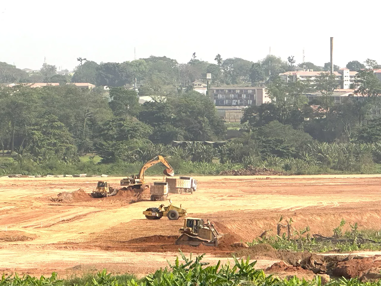 Environmental Groups Dispute Oyo State's Claim on Ogunpa Forest Clearance