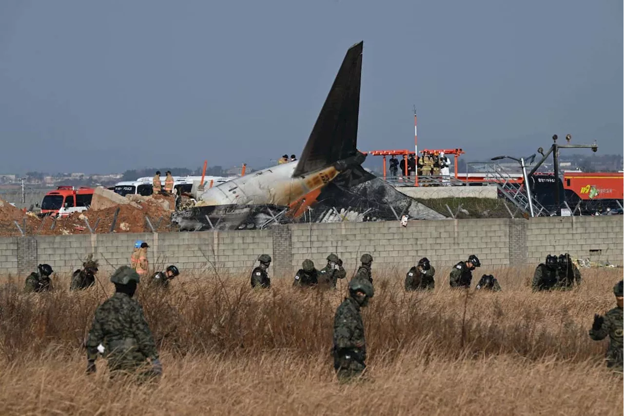 Jeju Air Plane Crashes in South Korea, Leaving 120 Dead