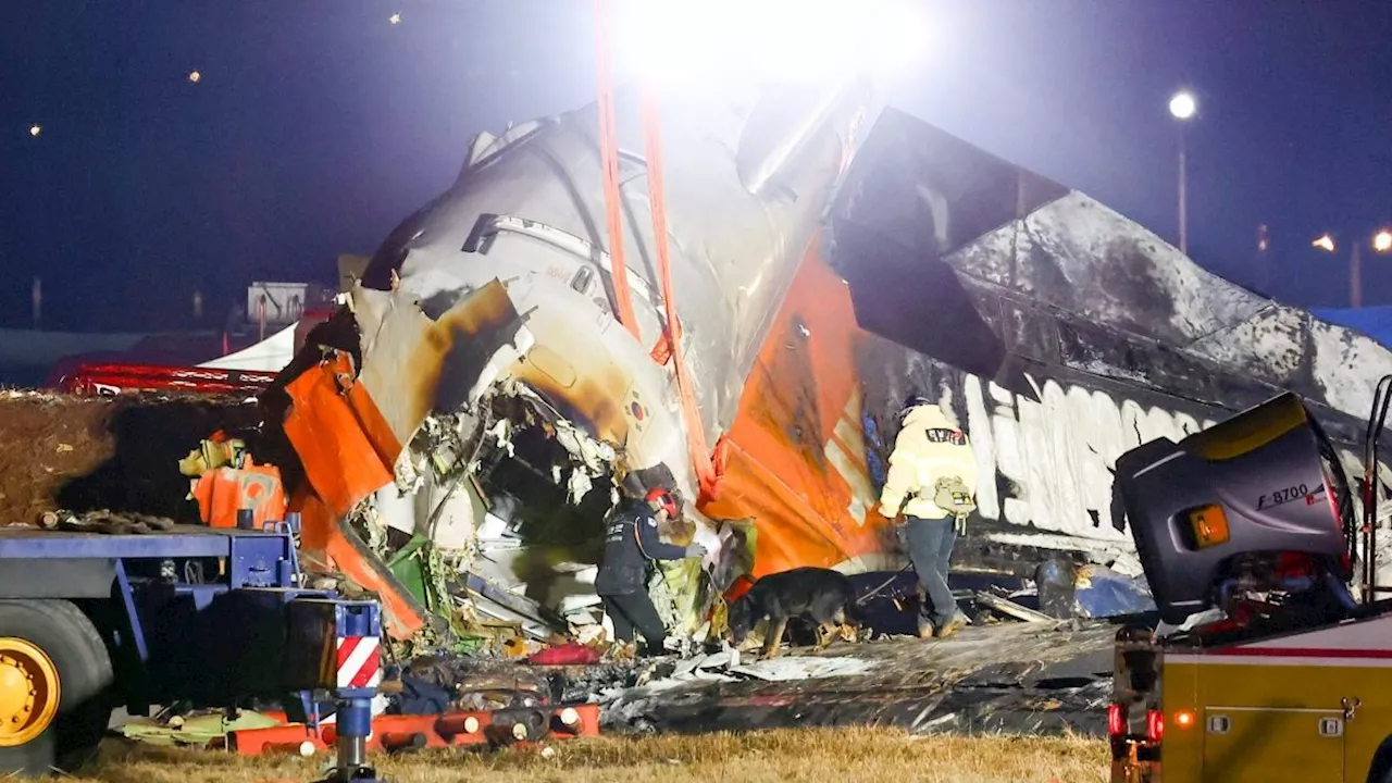 Boeing Faces More Scrutiny After South Korean 737-800 Crash