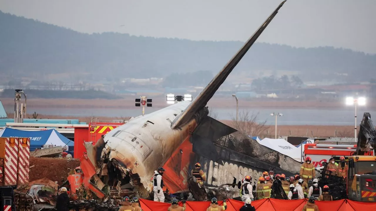 How a bird strike may have brought down South Korean Jeju Air jet