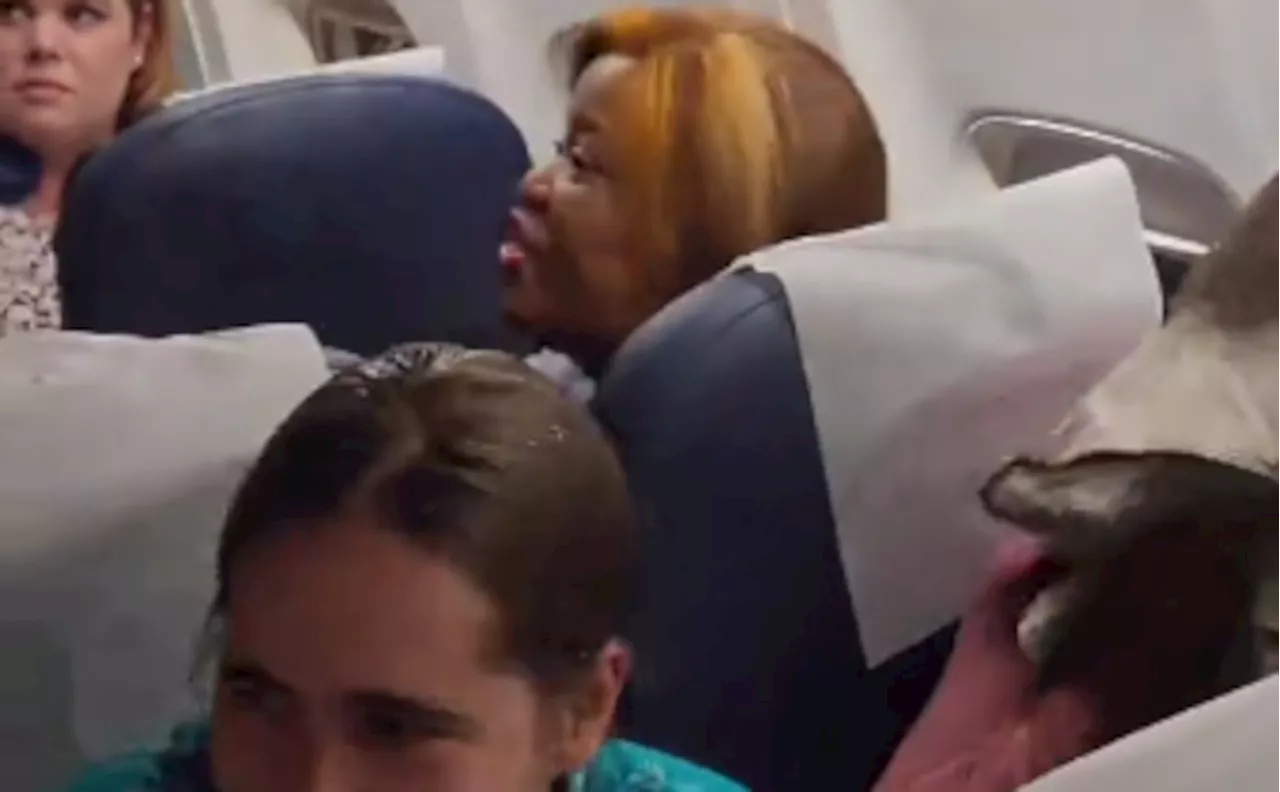 Drunk SABC Employee Causes Chaos on FlySafair Flight