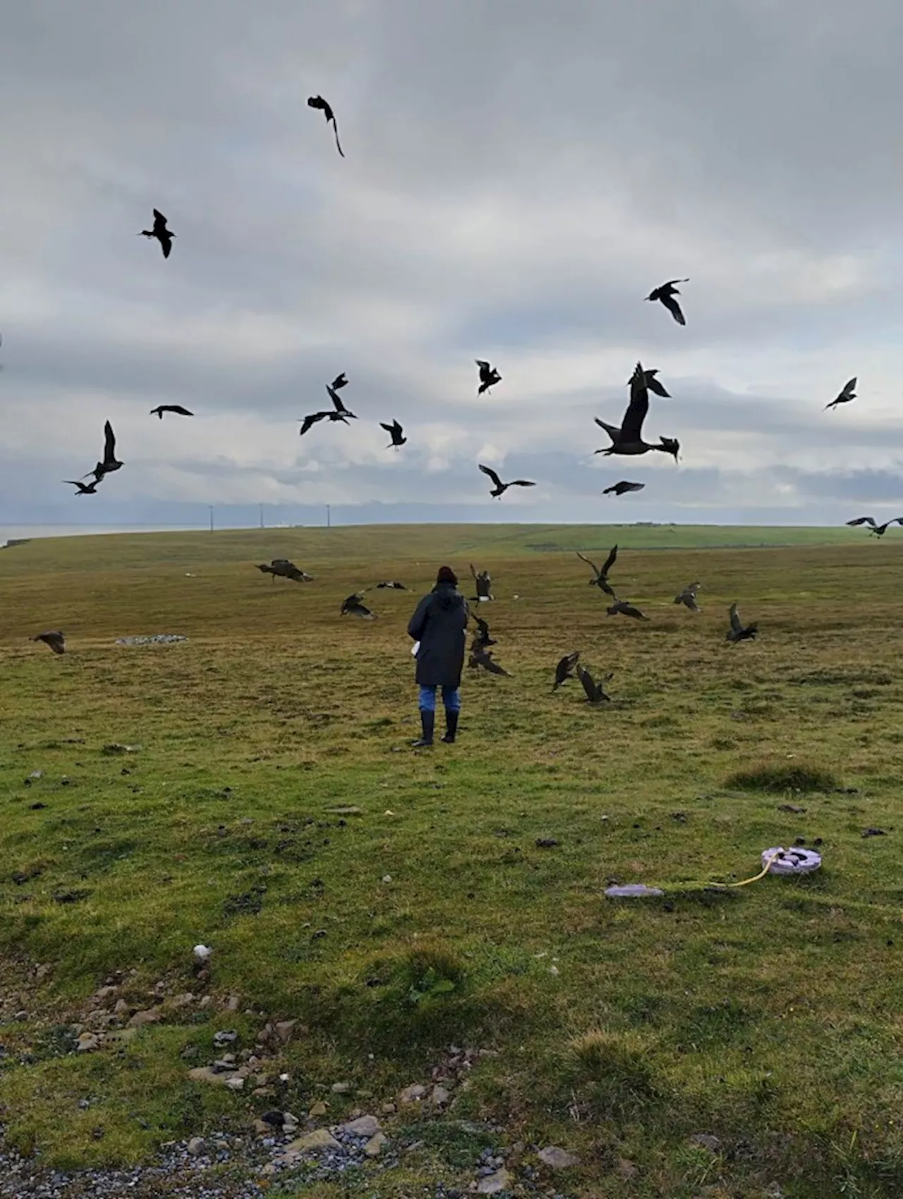 Life on Foula: Britain's Most Remote Island