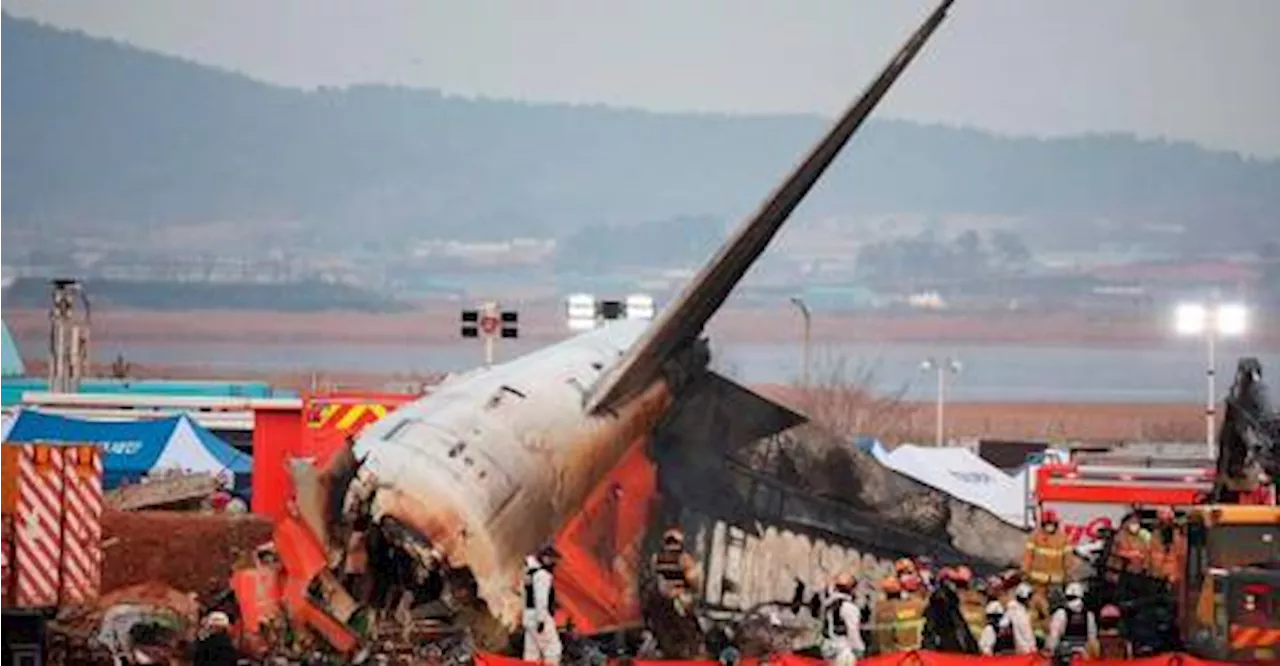 Deadly Air Crash at South Korea's Muan International Airport