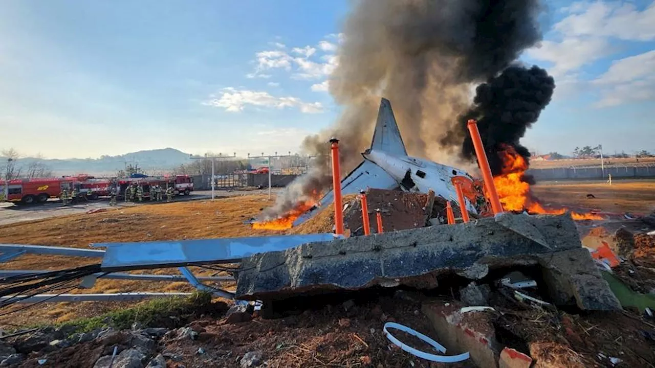 Dozens dead as plane bursts into flames following crash in South Korea