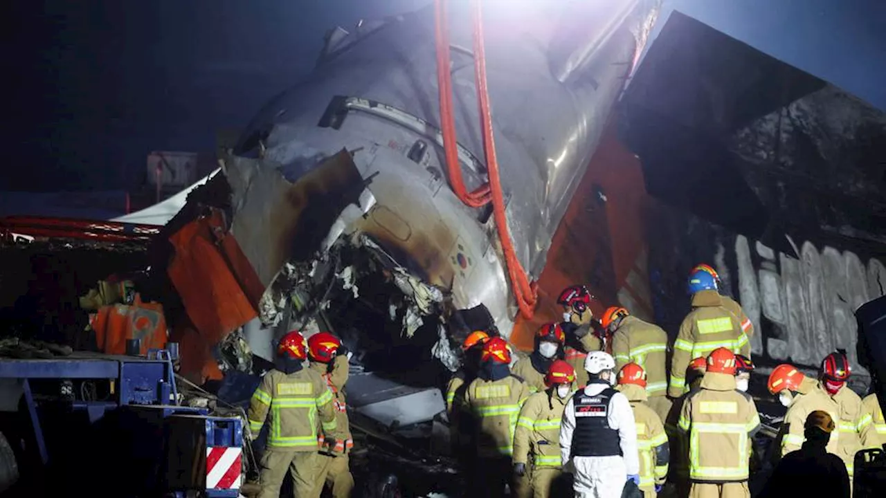 Jeju Air Plane Crash in South Korea: 176 Dead, Two Rescued