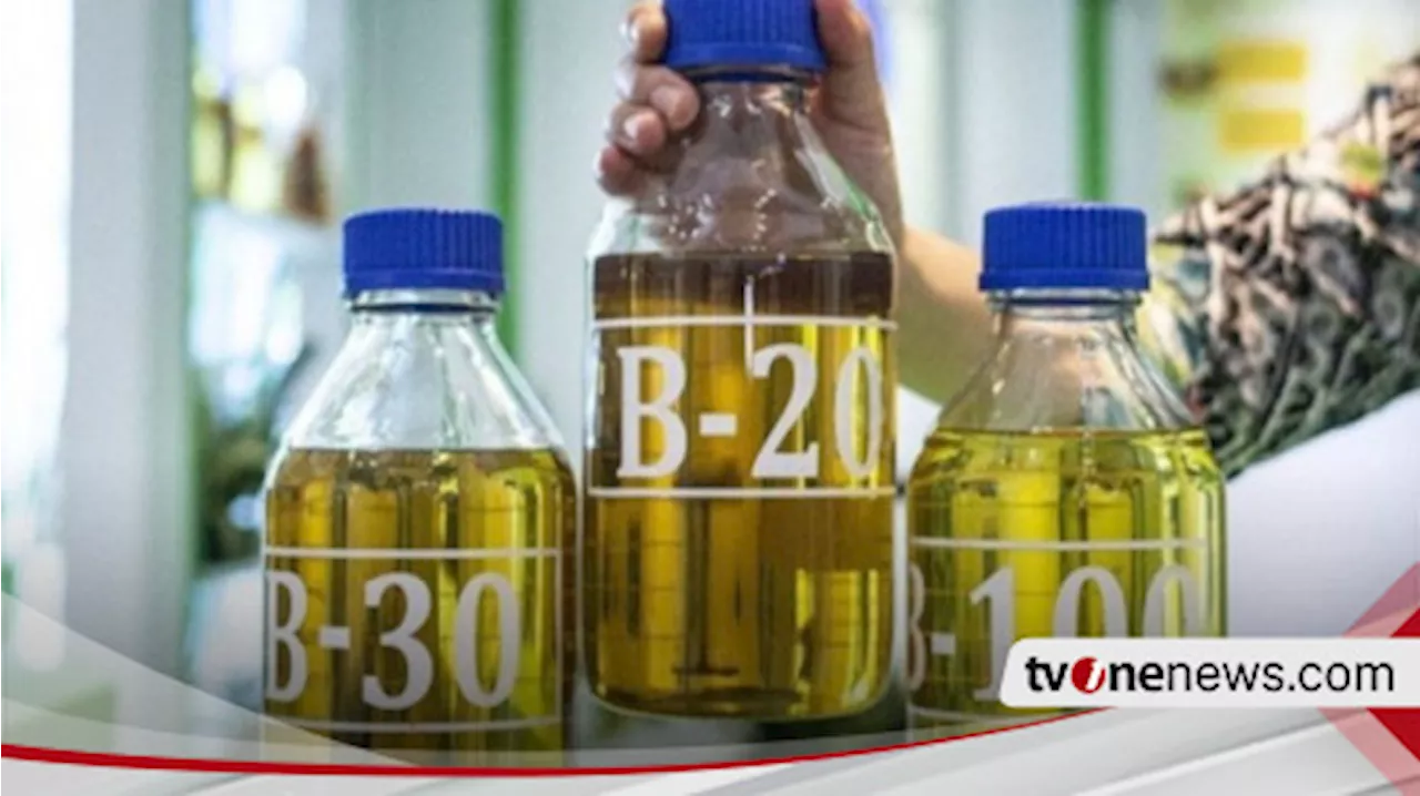 Pertamina Produksi Bioavtur dan Siap B40