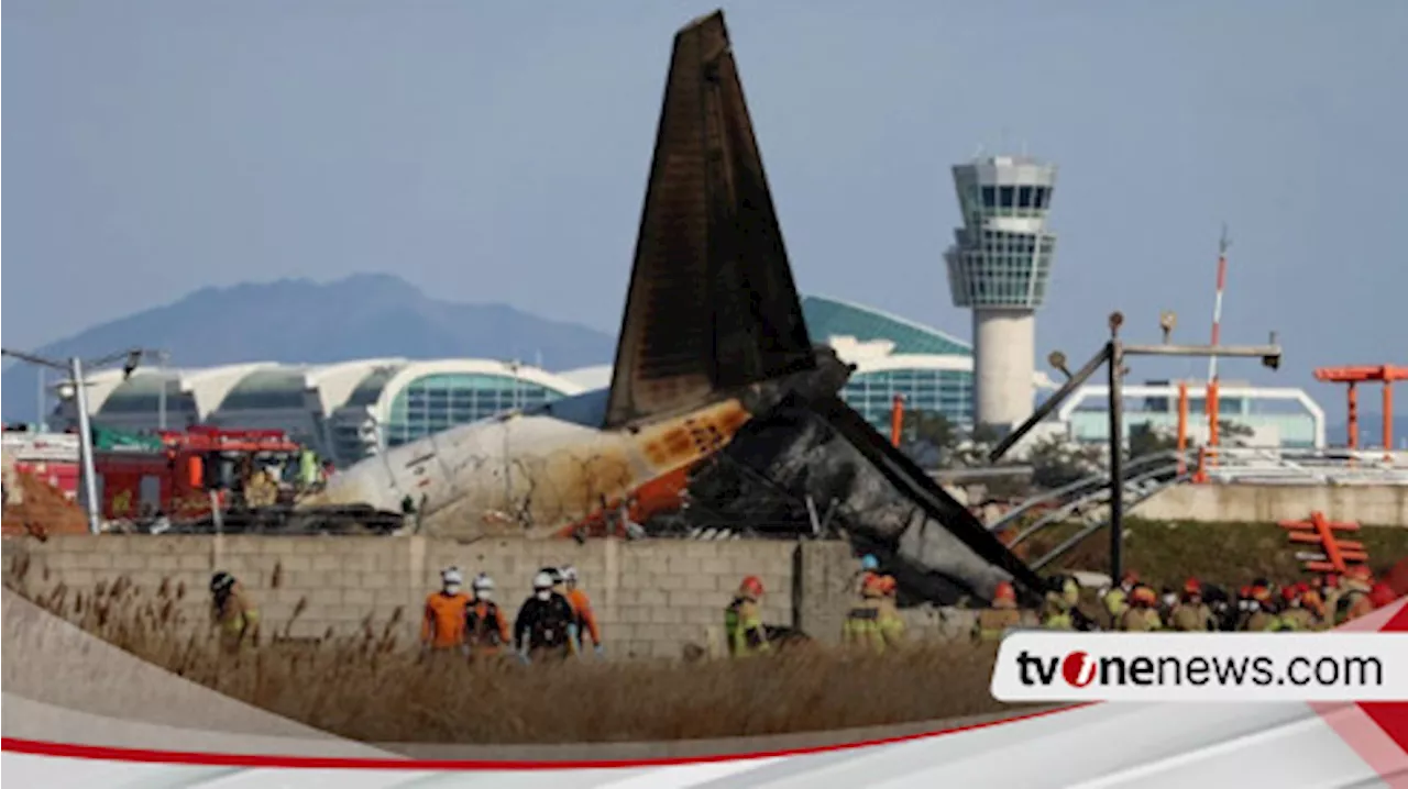 Pesawat Jeju Air Jatuh di Korea Selatan, 120 Orang Meninggal