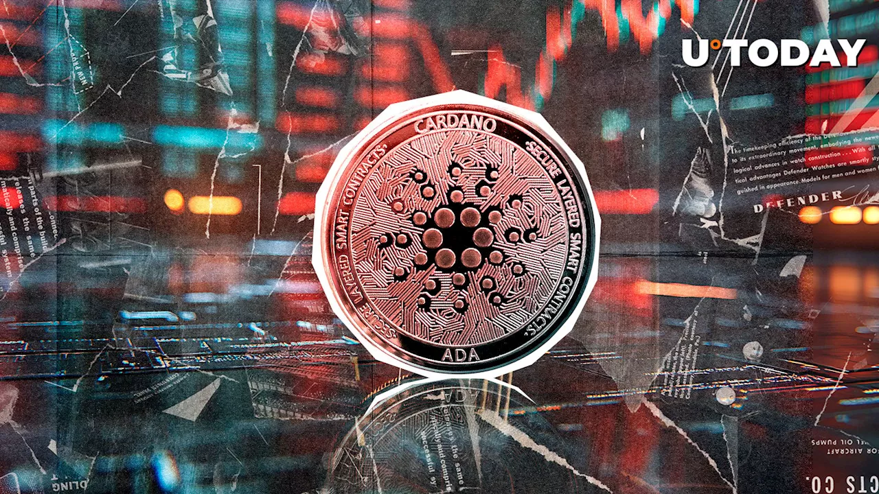 Cardano (ADA) Price Drops 40%, Losing Market Attention