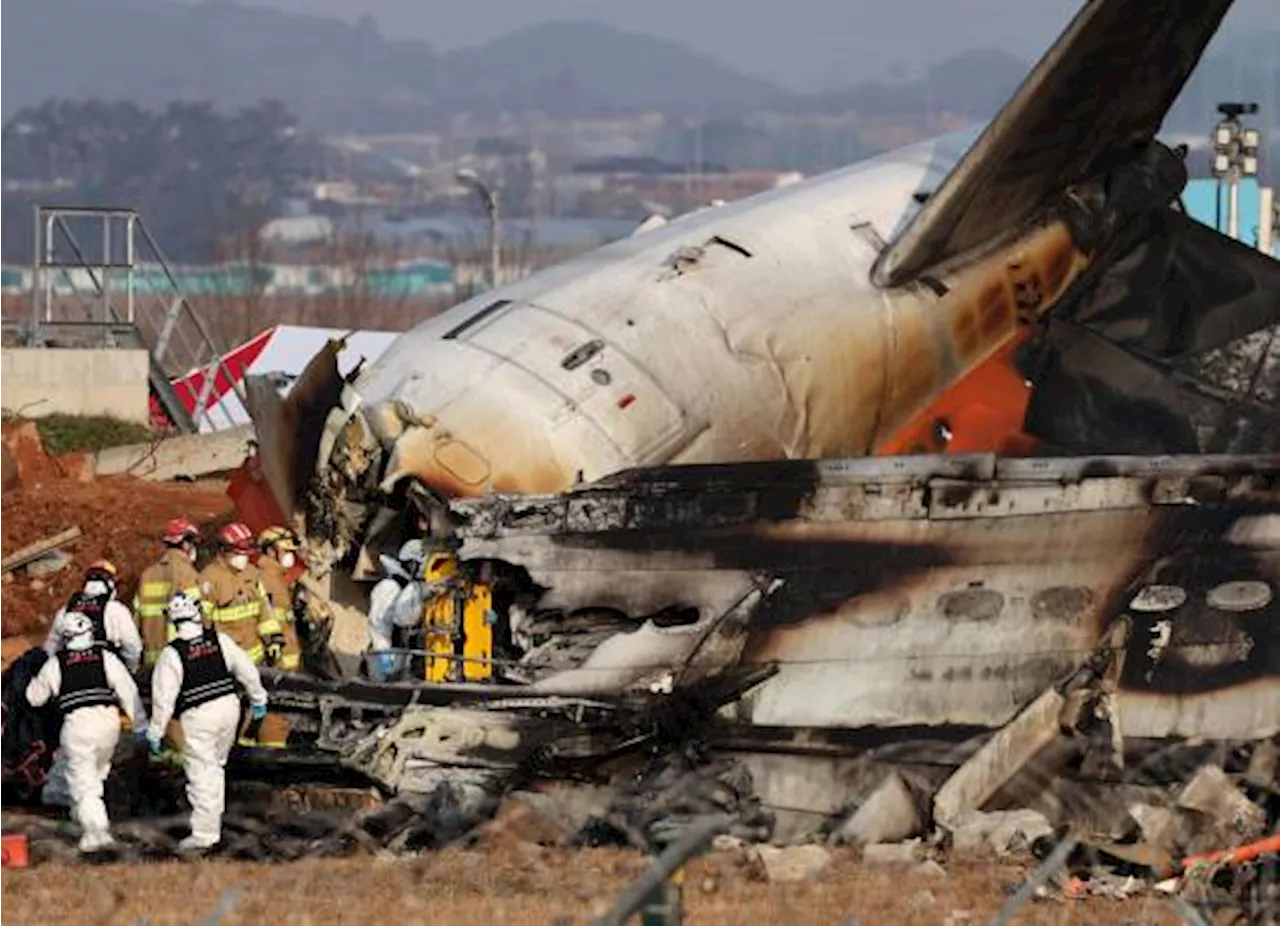 Avión Se Desvía en Corea del Sur, Matando a 179 Personas