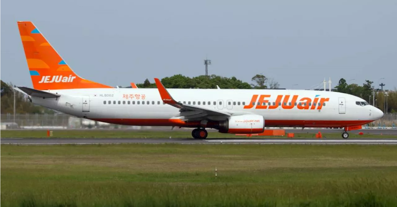 Avião da Jeju Air Cai no Aeroporto de Muan, Coreia do Sul, Causando Várias Mortes