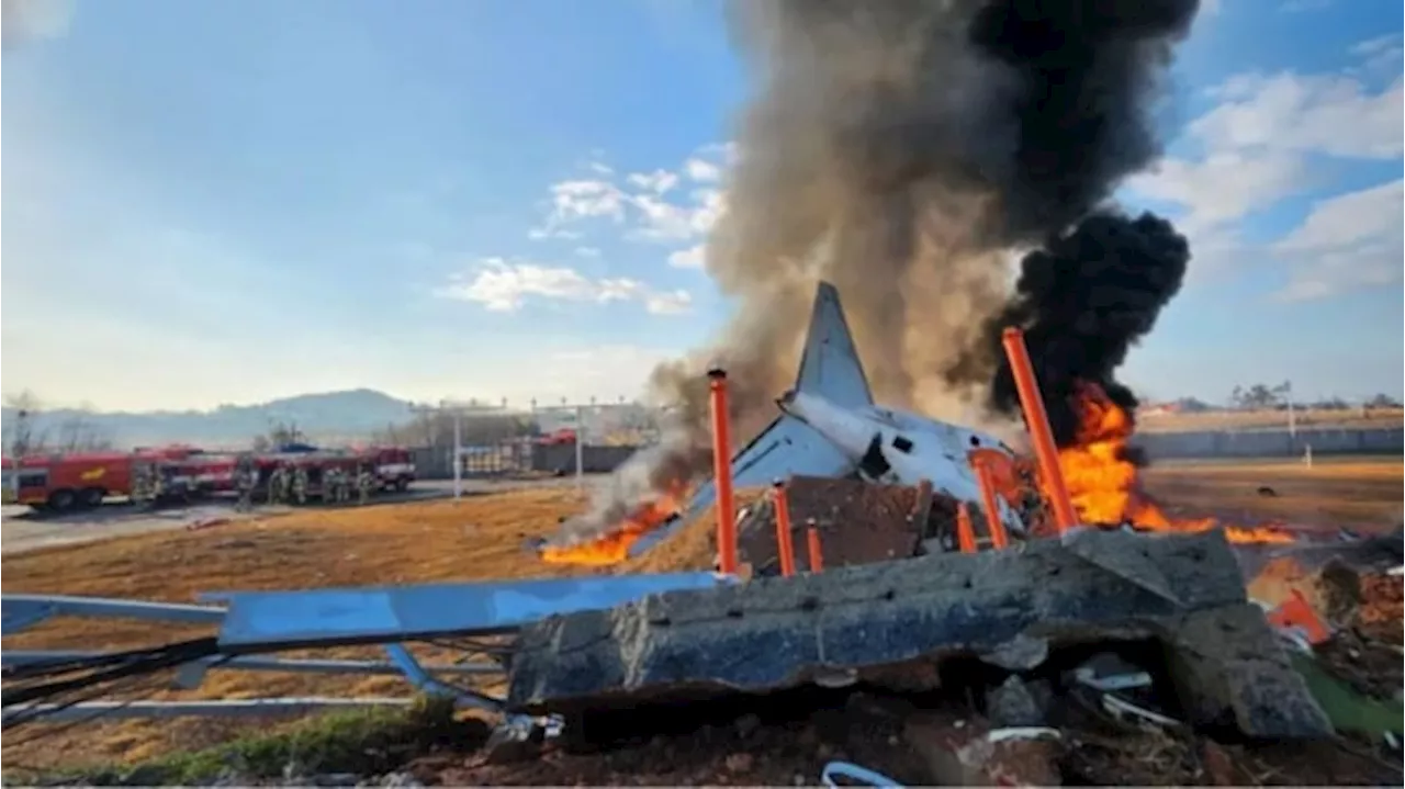 Pesawat Jeju Air Kecelakaan di Bandara Muan, Puluhan Orang Tewas