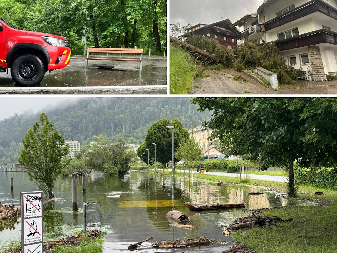 Rekord-Hochsommer in Vorarlberg: Katastrophen und Kriminalität