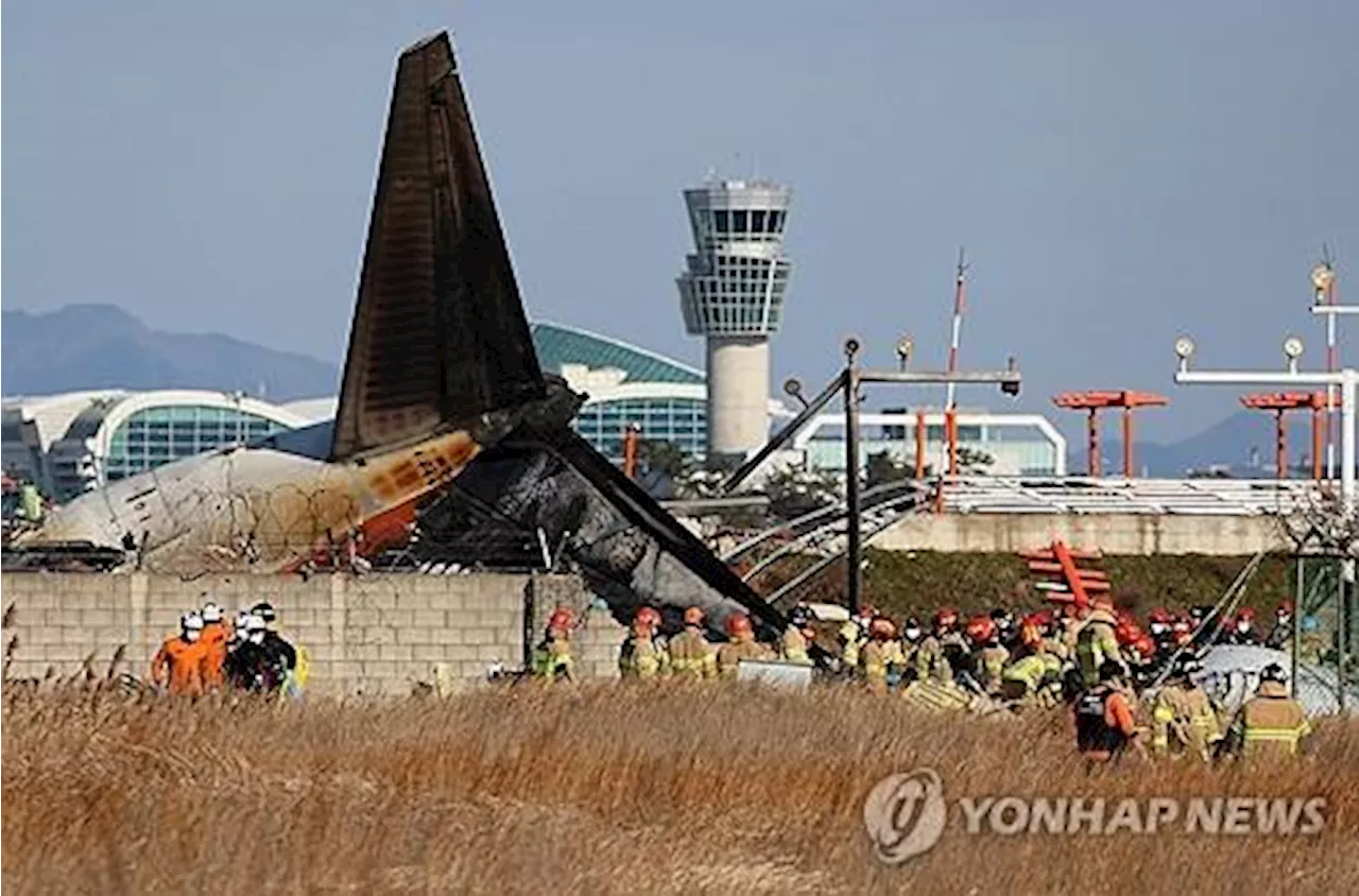 무안 여객기 사고 원인, 버드 스트라이크와 기체 고장 추정