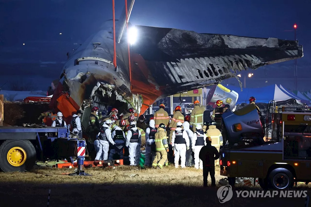 무안공항, 철새도래지 인근…조류충돌 '제1요인'