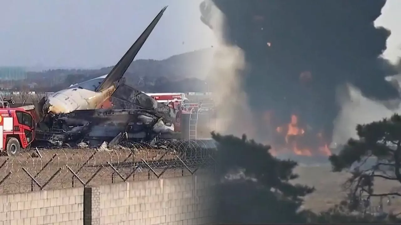 제주항공 여객기 무안 접수 중 활주로 중간부터 착륙... 엔진 고장 가능성