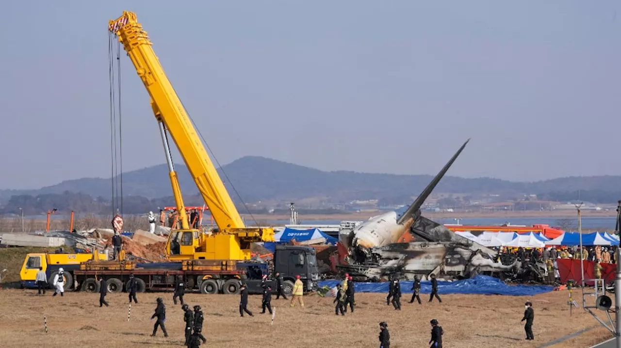 Jeju Air Flight Crash in South Korea