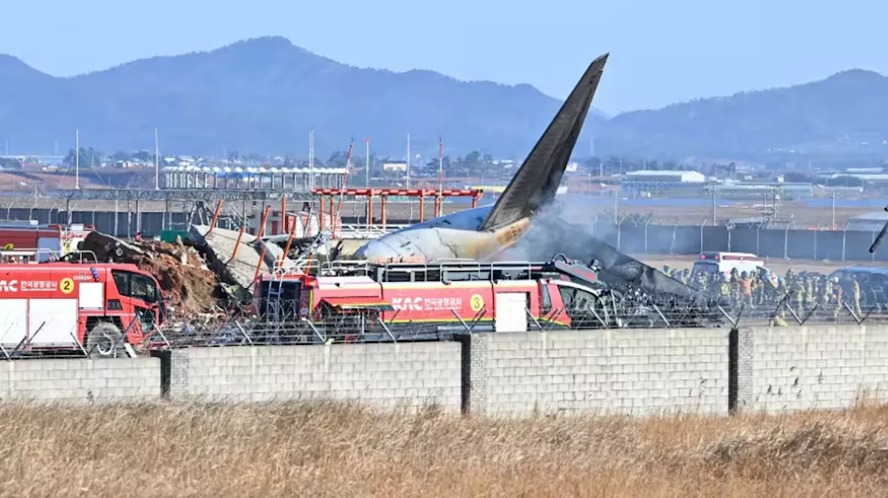 South Korea Plane Crash: 179 Killed