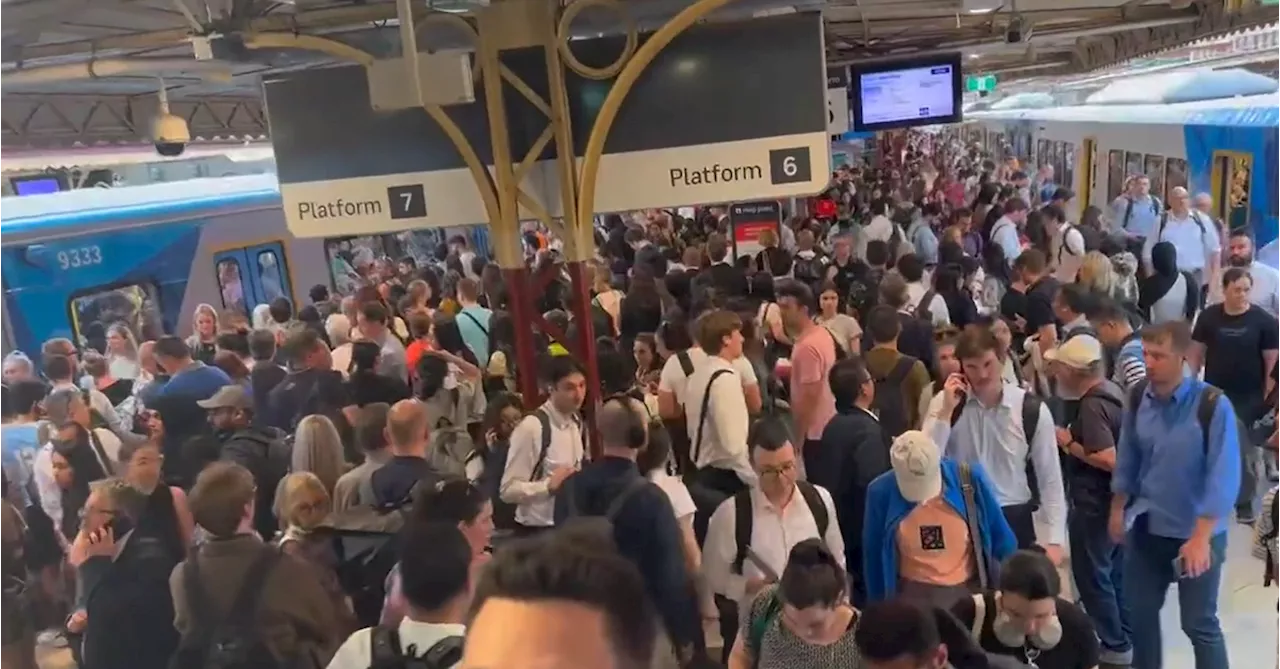 Delays ease after Melbourne's train network struck by 'equipment fault' in peak hour