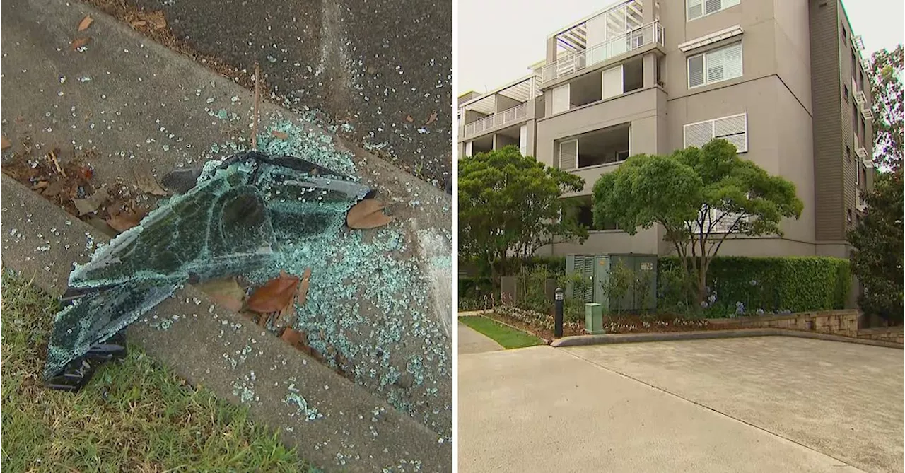 Four charged after alleged hammer assault and car-ramming in Sydney