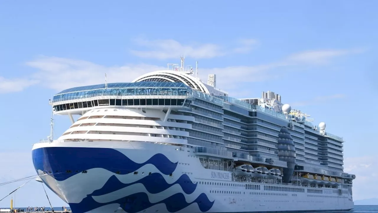 72-year-old believed to have gone overboard on Princess Cruise ship near San Francisco