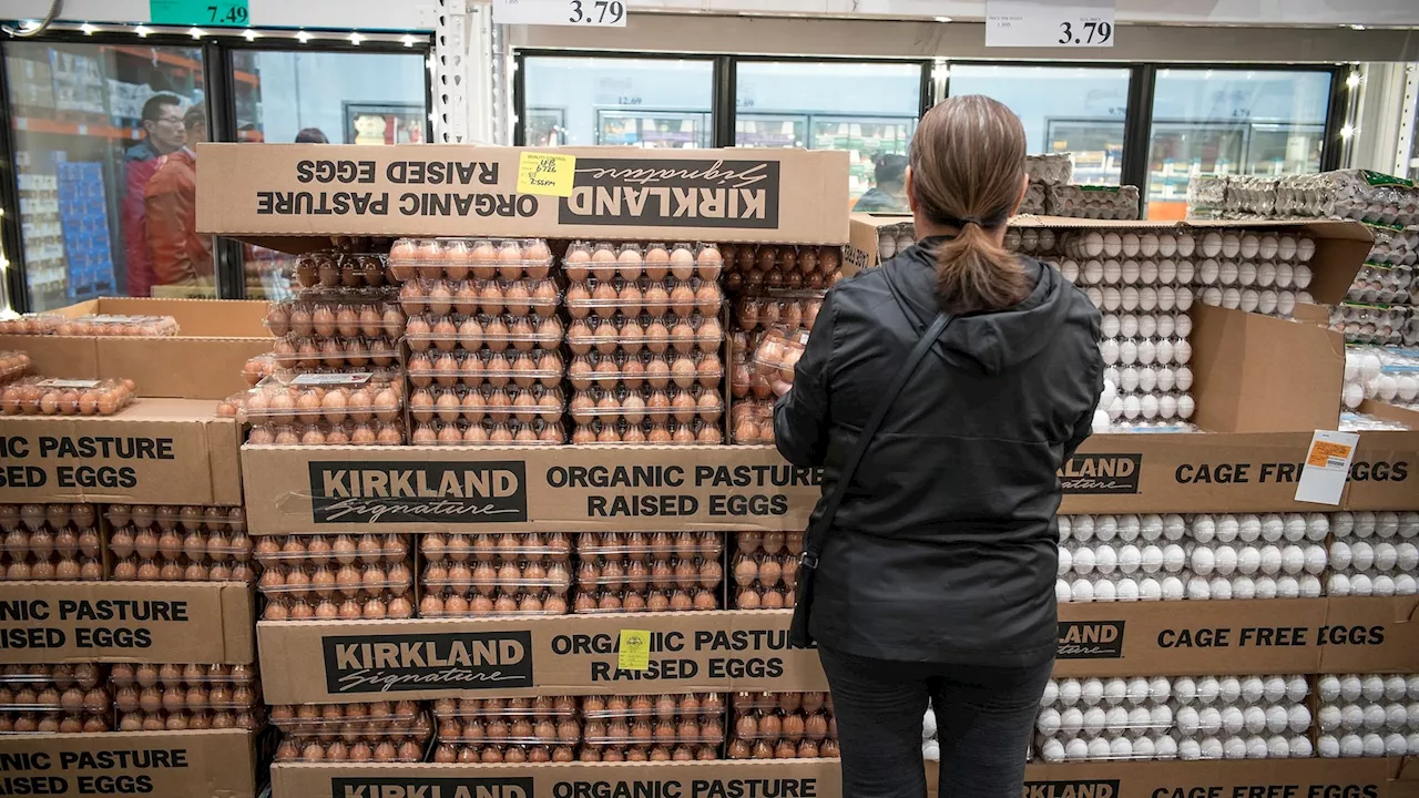 Fresh organic eggs distributed to Costco recalled due to salmonella concerns