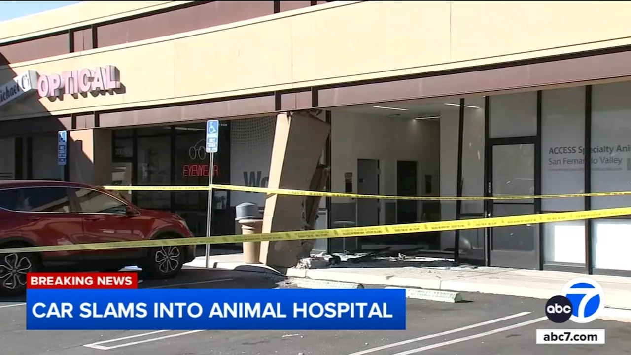 Car crashes into animal hospital building in Woodland Hills, injuring 2 people, dog