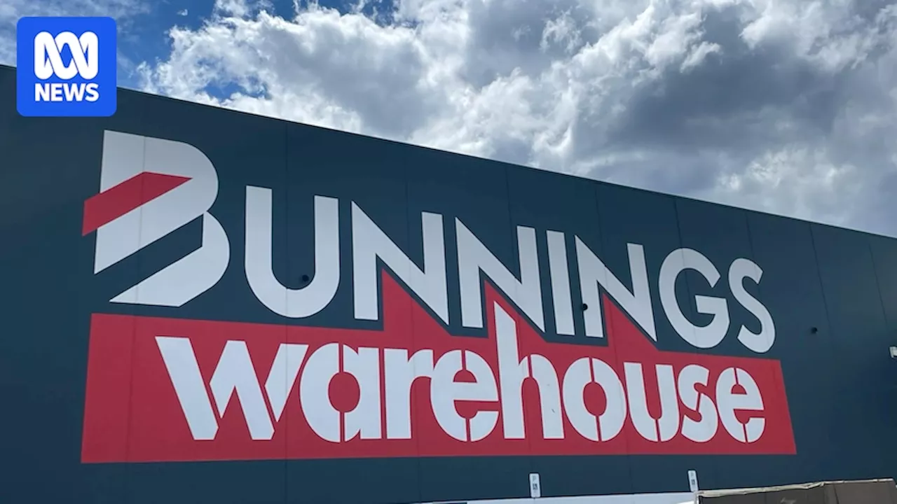 Bunnings launches biosecurity investigation after rice plant apparently found in broom imported from China